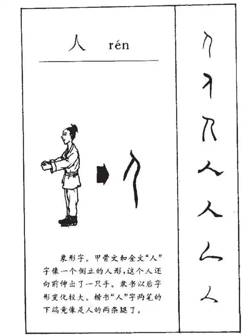 甲骨文和金文中的"人",就像是一个侧向站立的"人",上端是头,向左下方
