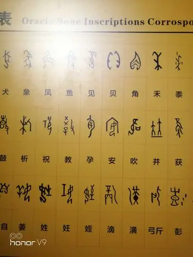 甲骨文