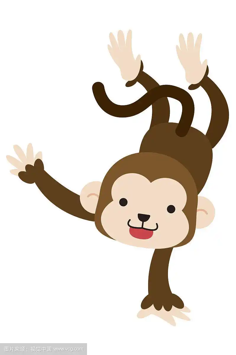 猴子,插画