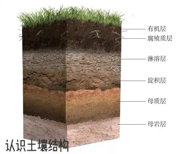 阅图识土:土壤剖面图 - 抖音