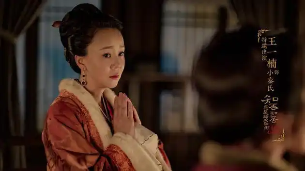 "小秦氏"王一楠:大多数演员跟高薪片酬挂不上边