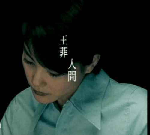 王菲《人间》的歌词是什么意思啊?