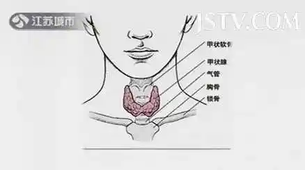 20130918万家灯火视频和笔记刘绪舜讲甲状腺甲状腺功能减退