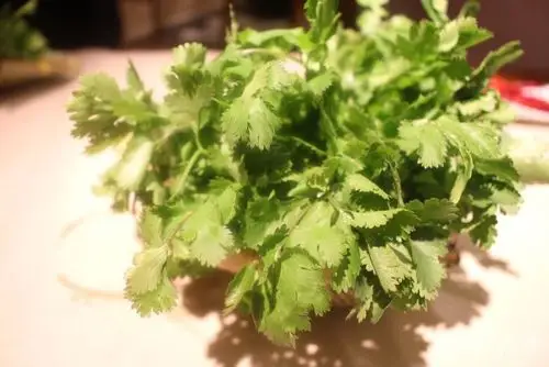 川椒龙妹火锅香菜图片 - 第121张