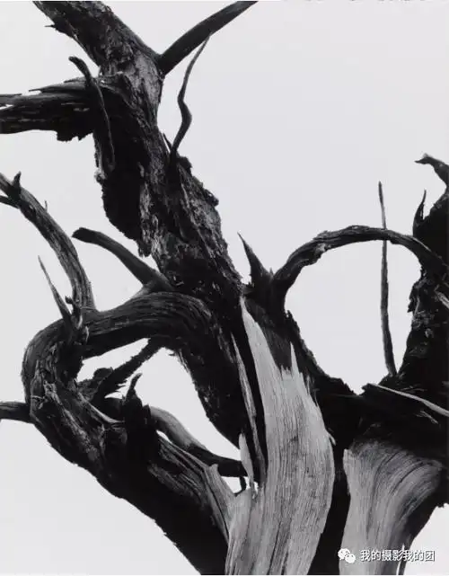 世界著名摄影师及作品欣赏安塞尔亚当斯