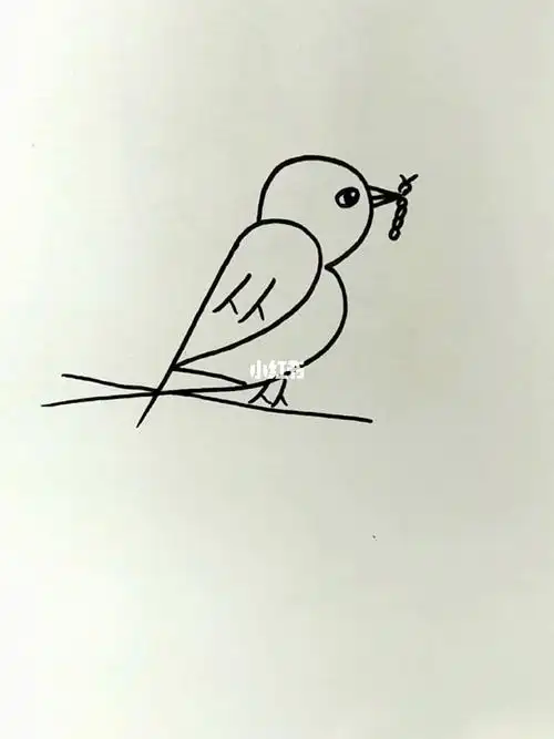 简笔画  教你用123画小鸟