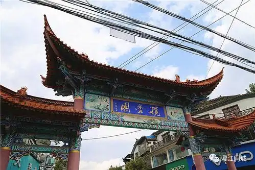 忘了他来澄江我养你好玩好吃好看的多多多多多