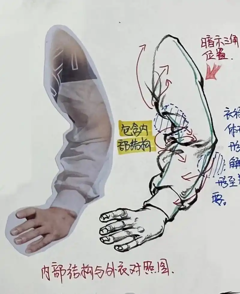 速写手臂讲解看一遍就行