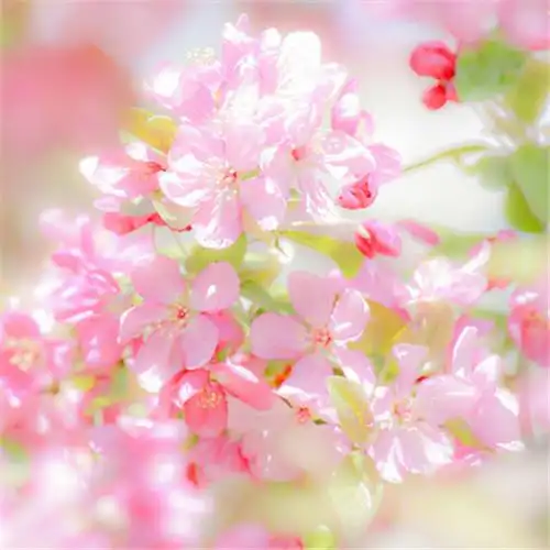 适合一辈子风景头像图片 高清值得一辈子不换的头像风景_风景微信头像