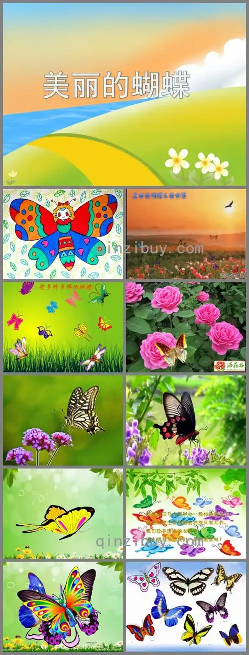 中班美术活动美丽的蝴蝶ppt课件