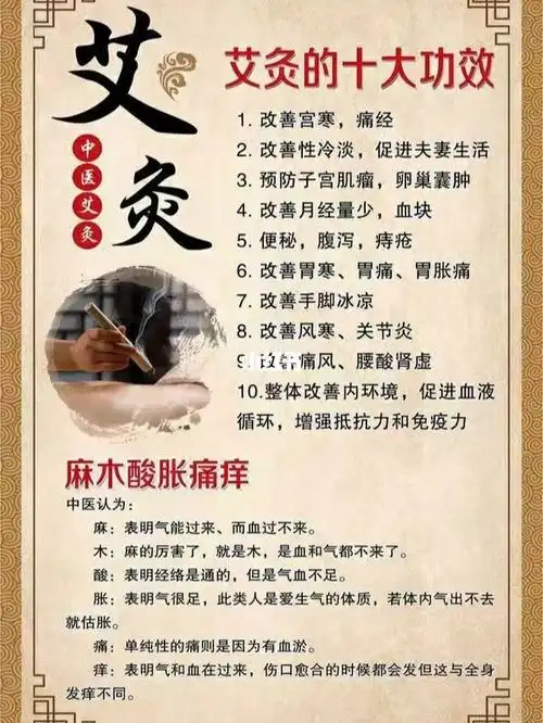 艾灸睾丸的作用与功效(艾灸睾丸的好处) | 锁阳号_分享各种的功效与