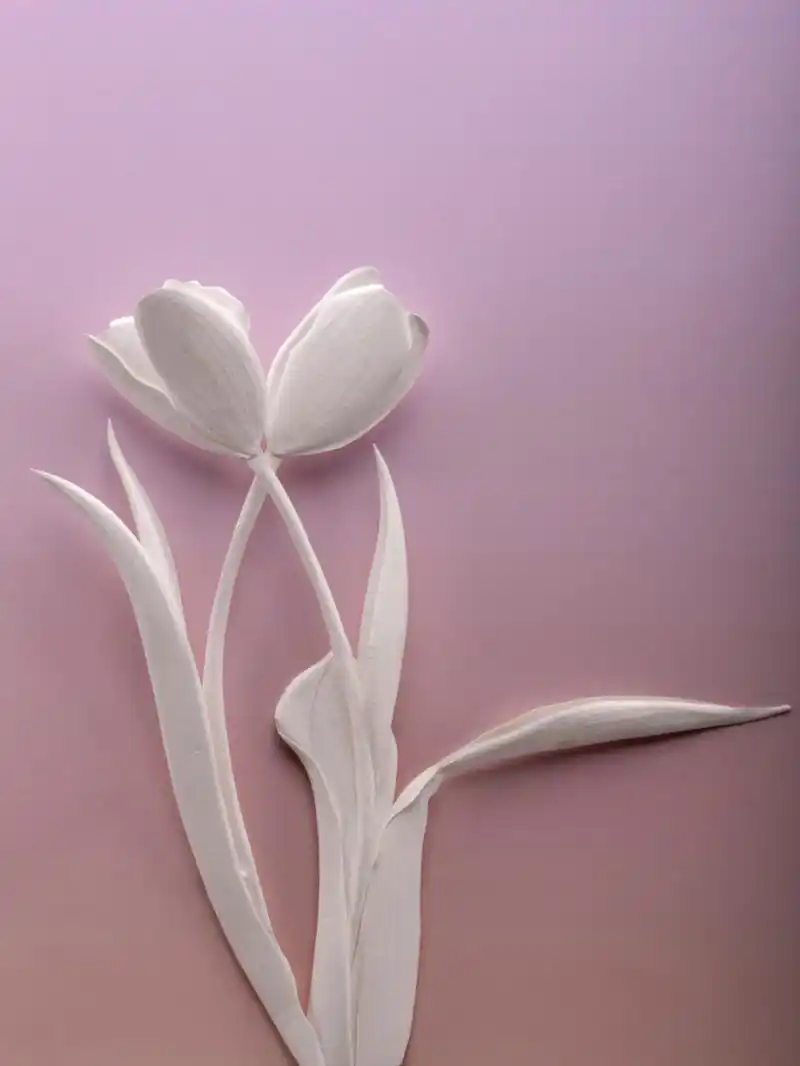 原创立体纸雕艺术作品!尽情赏析 #手工