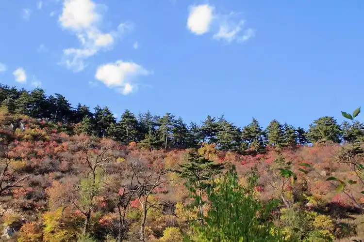 p>金阁山位于河北省张家口市 a target="_blank" href="/item/赤城县