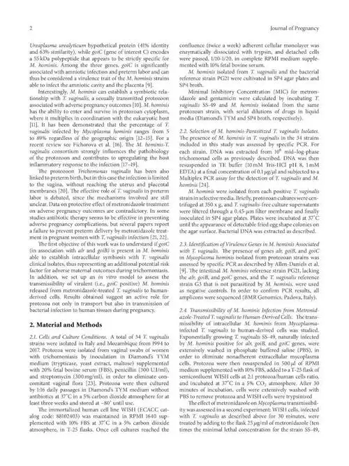 trichomonas vaginalis transports virulent