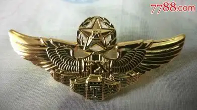 这是空军什么胸标啊