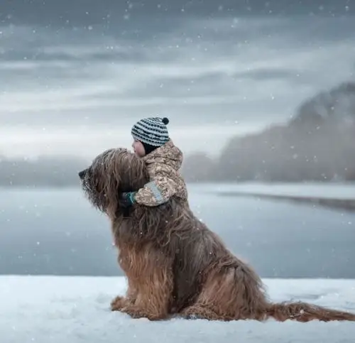 感动无数网友的专业影像,小孩与巨大狗勾朋友的温馨日常!