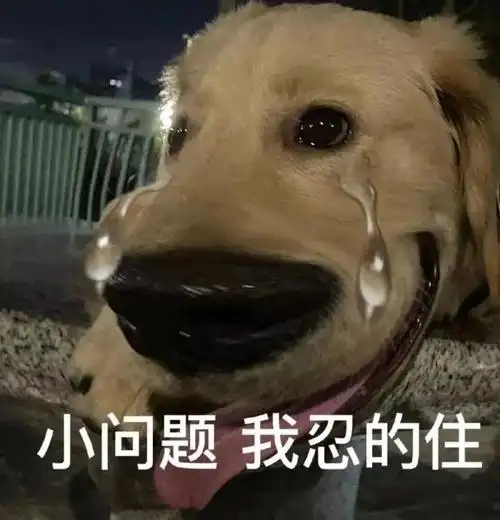 小问题我忍的住问题我忍表情