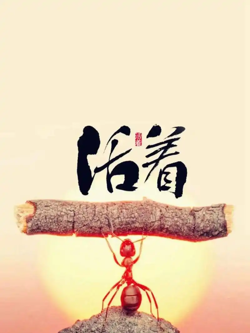 先活着吧 其他我再想想办法