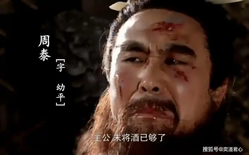 94版三国里,周泰在合肥之战为了保护孙权而身负十余处创伤,当时的道具