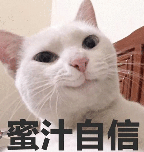 蜜汁自信是什么梗蜜汁自信是什么意思