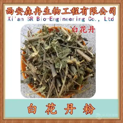 白花丹粉一见消浓缩粉白花丹提取物粉