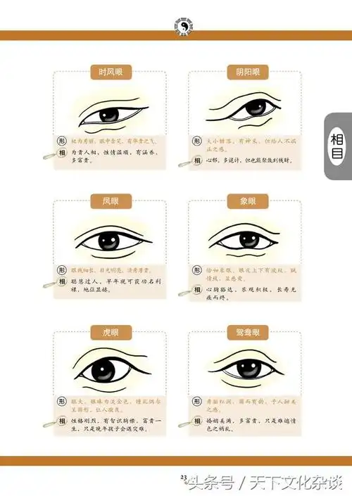 麻衣神相之面相速查表图文并茂通俗易懂