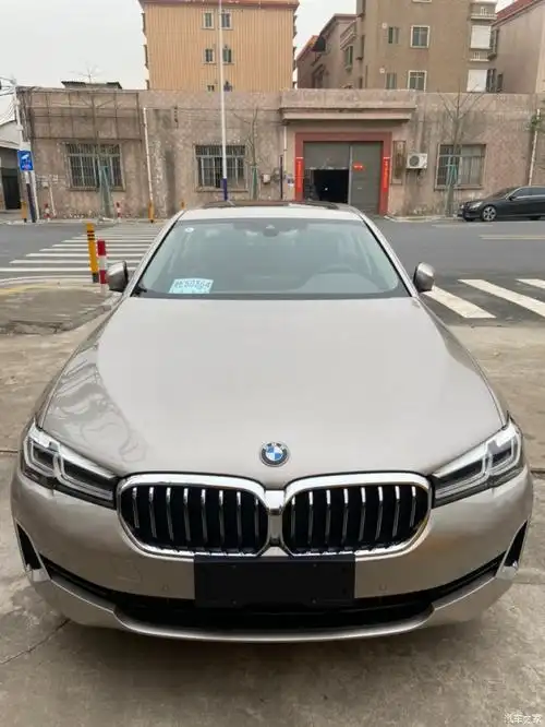 喜提530li开士米银发几张图片