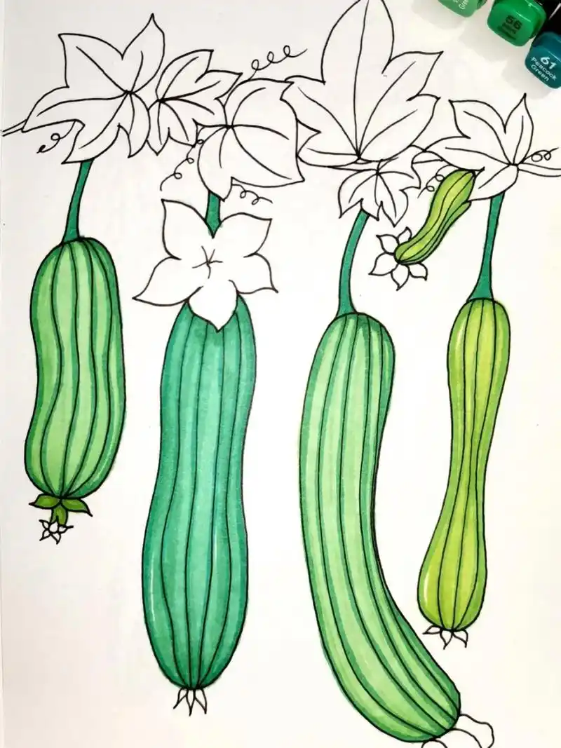 马克笔手绘蔬菜 丝瓜 创意儿童画 简笔画