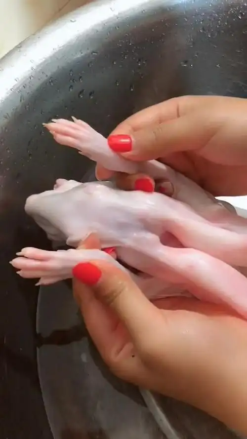 这个兔爪真的好白,竟然一点瑕疵都没有呢!