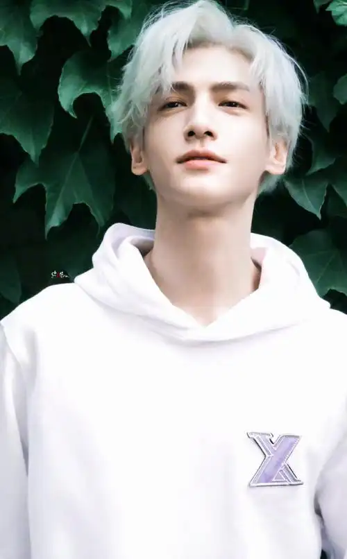 罗云熙颜心记##罗云熙银发日漫感