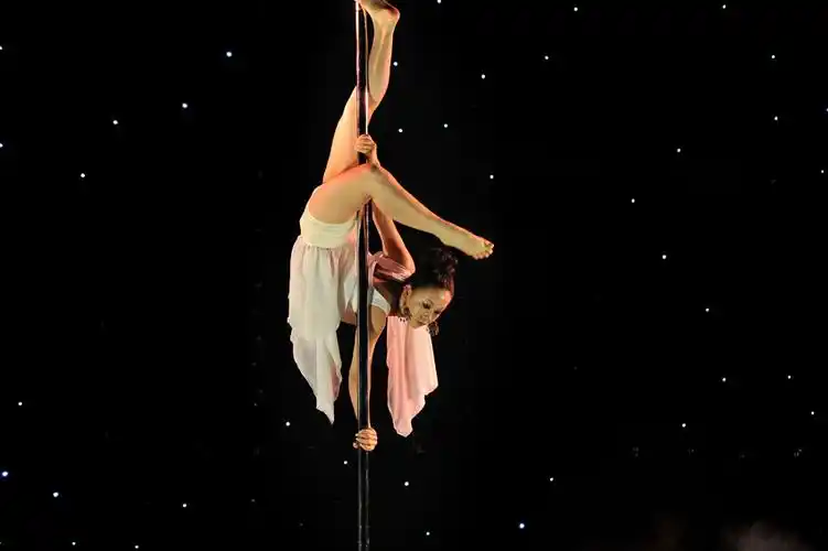 中国钢管舞锦标赛_高清图集_新浪网