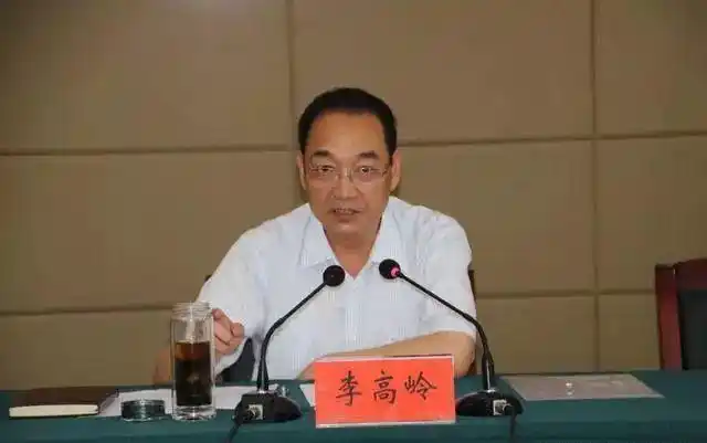李高岭资料图