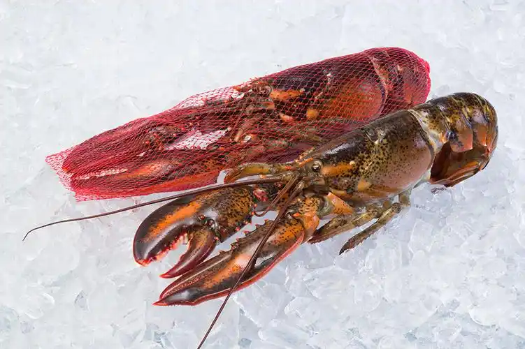 hpp生龙虾(整只/网袋)