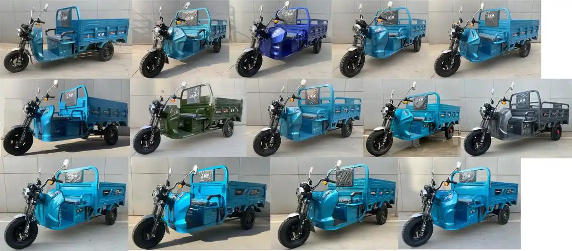 五羊牌wy1500dzh-6a电动正三轮摩托车公告图片