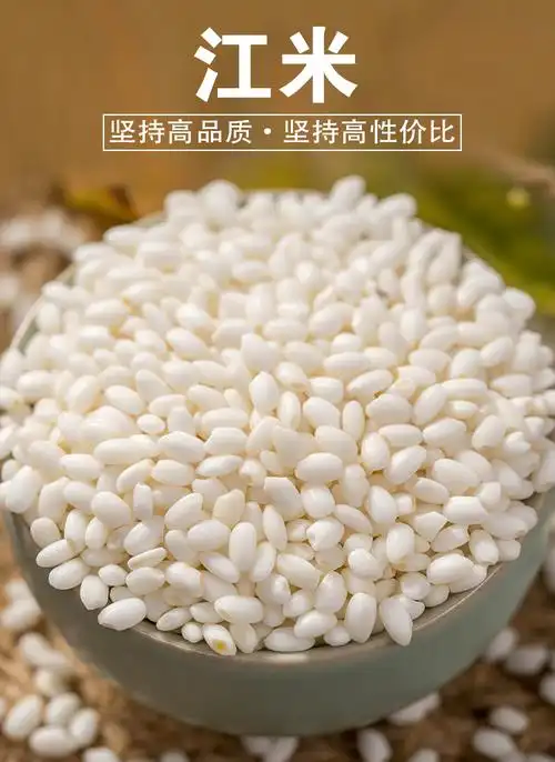 江米超黏糯圆粒糯米江米煮粥酿酒包粽子白江米酿酒香新鲜五谷杂粮