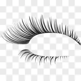 假睫毛图片素材_免费假睫毛png设计图片大全_图精灵