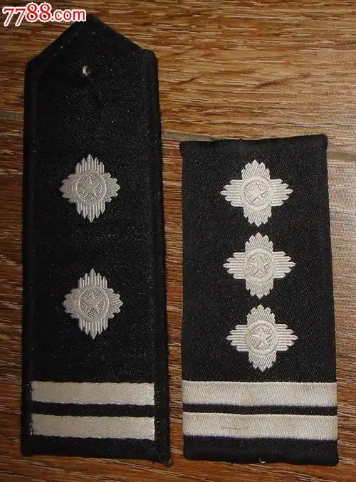 退役*安警察刺绣软肩章(双单)