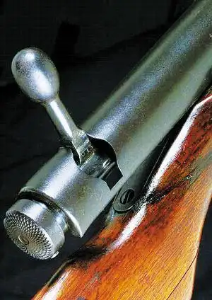 用鬼子的枪打鬼子:三八大盖