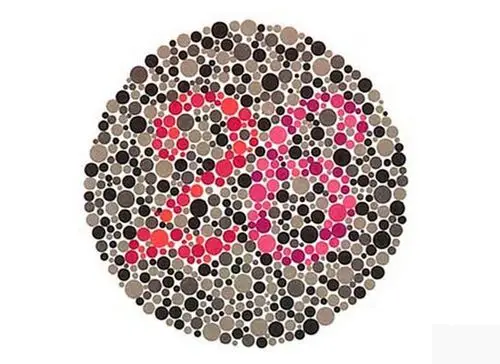 色盲测试1● 色盲测试2,自备白背景彩色一寸近照一张.