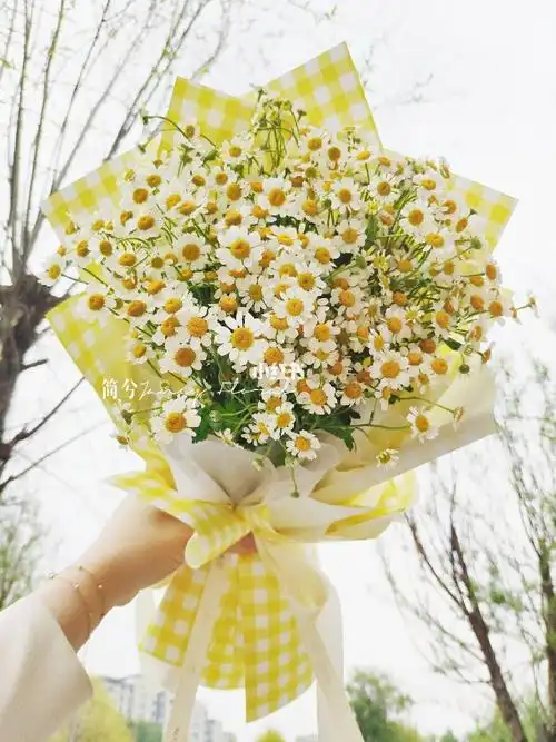 洋甘菊花束细细碎碎的小美好长春花店