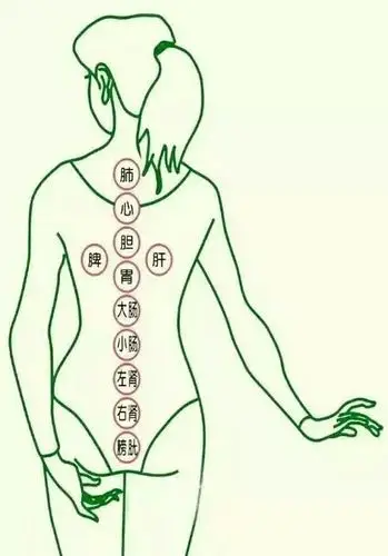 肩胛骨不通,有什么危害?