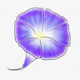 紫色卡通手绘牵牛花