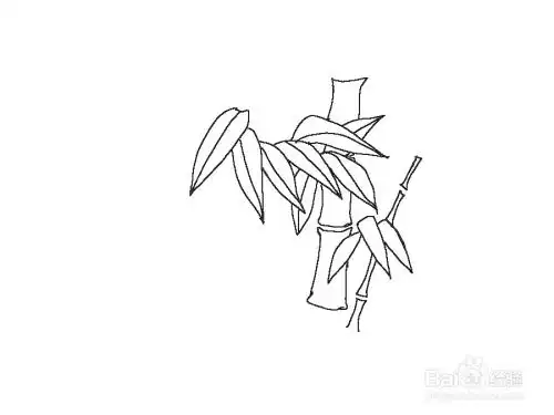 美术 简笔画竹子