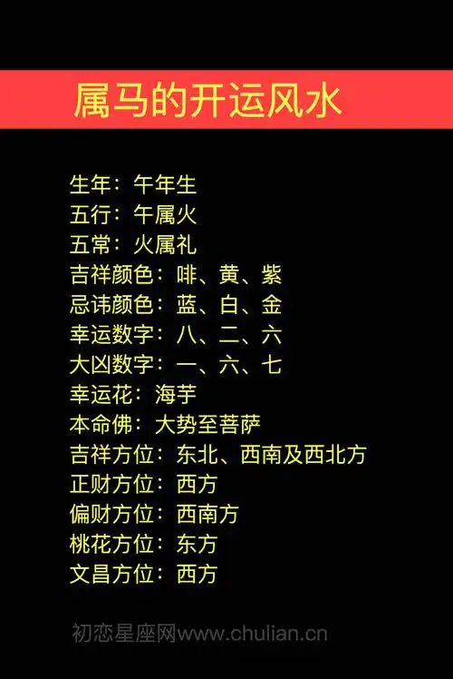 生肖属马199020022014