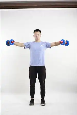 站姿哑铃侧平举.
