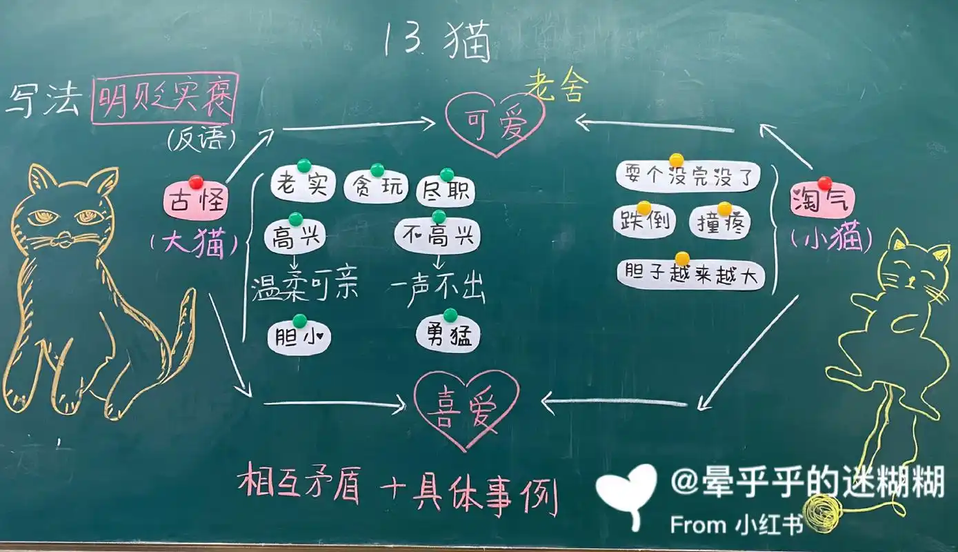 四下《猫》板书设计      需要ppt私