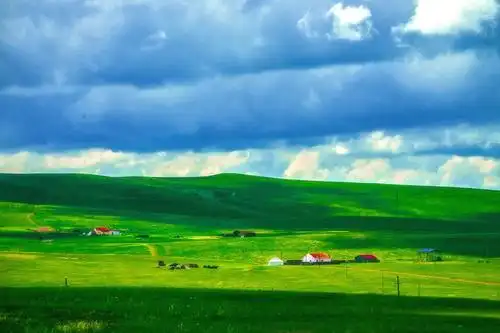 内蒙古东部高原摄影纪行:诗意的草原