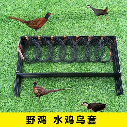 鼎立(dingli) 野鸡套竹鸡套鸟套斑鸠套毛鸡套地套捕鸟套电煤机器套装