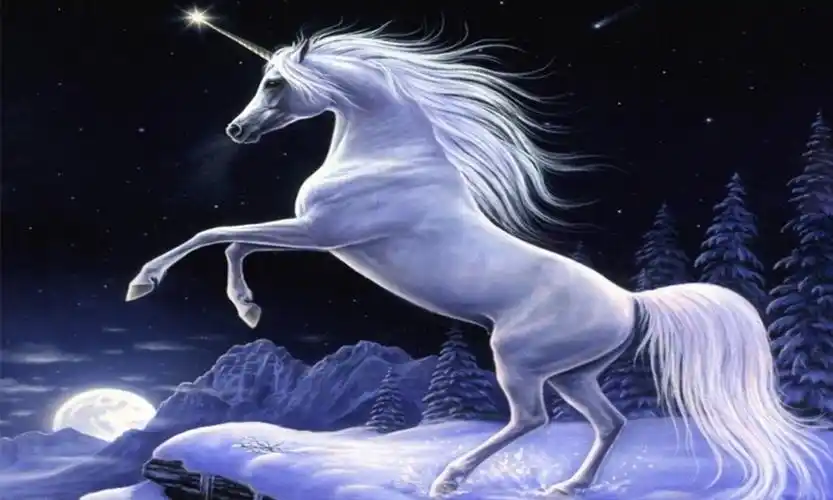 加盟星百度招商加盟服务平台