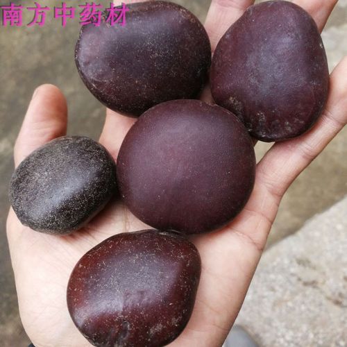 阴阳子中药材宝肾果500克一斤 过江龙子木腰子泡酒料肾树宝榼藤子